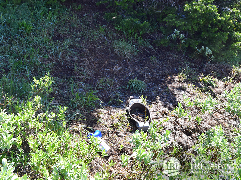 The radio-collar that tracked the caribou&#039;s movements and alerted us of the caribou&#039;s demise.