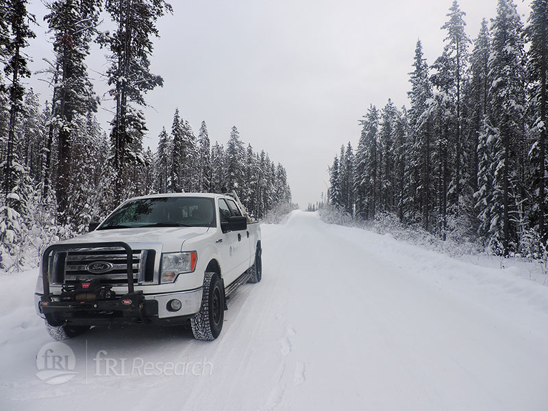 Field truck on a logging road.