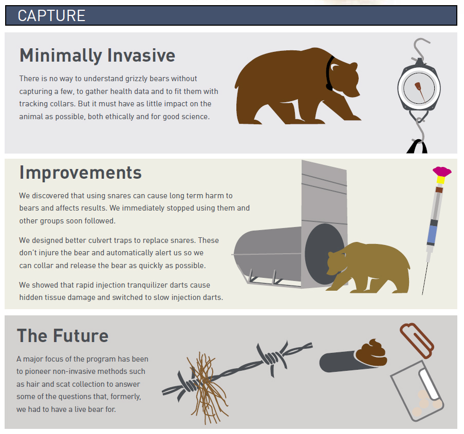 Advances of the Grizzly Bear Program - fRI Research