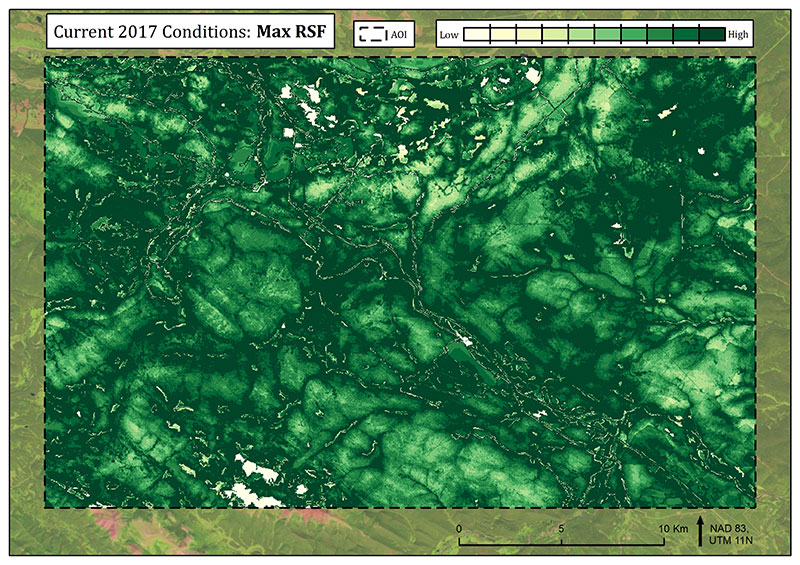 Current RSF Max