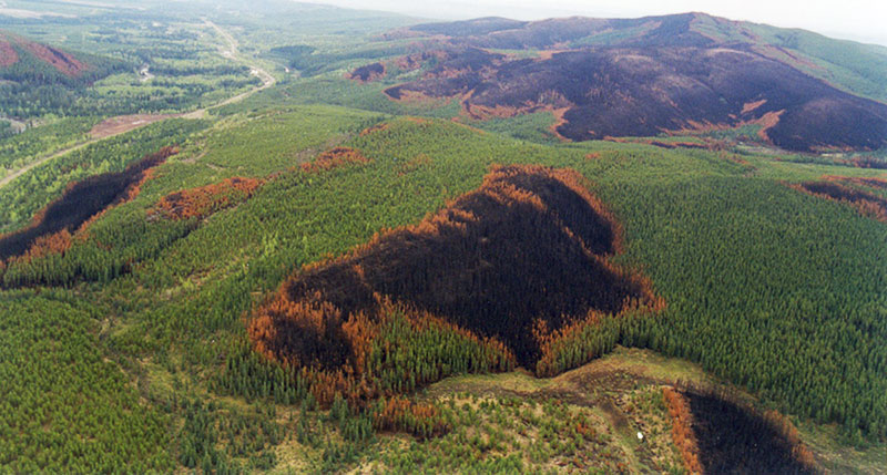 Aerial photo of burn patterns.