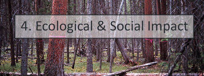 4. Ecological and Social Impacts 