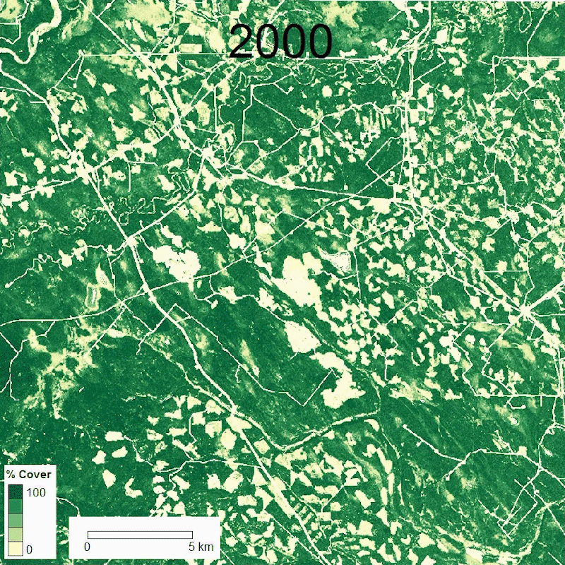 Animated .gif of satelite imagery showing change in forest cover