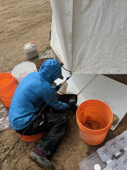 Erin collecting samples in the rain