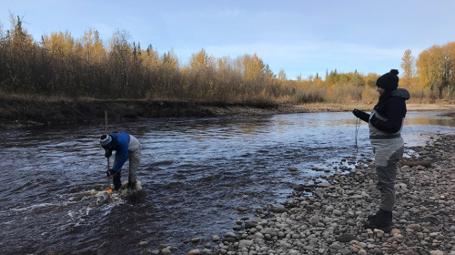 2 people recording data by a river