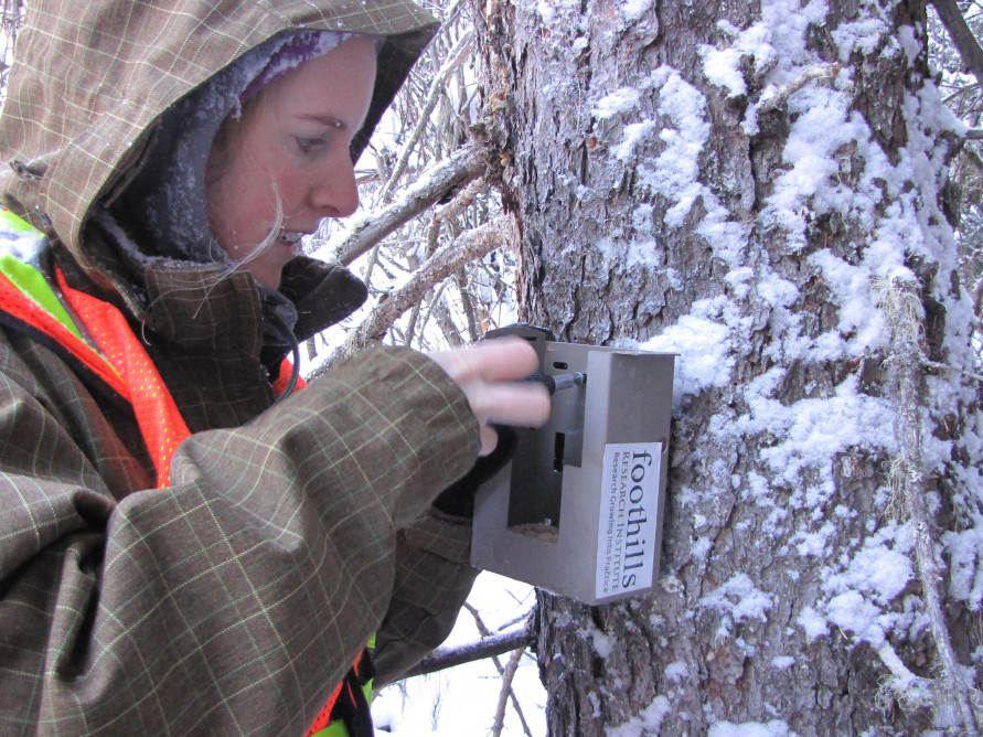 Becky Setting up a Trailcam