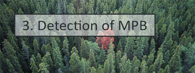 3 detection of MPB