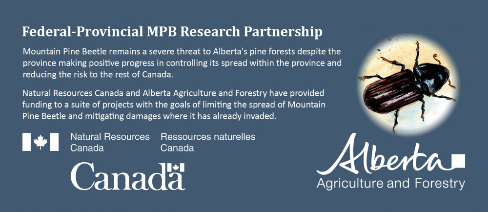 federal provincial mpb research partnership. logos of natural resources canada and alberta agriculture and forestry