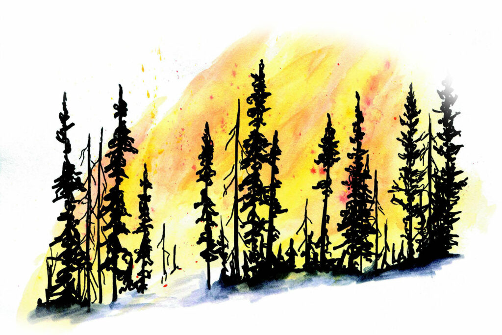 watercolour illustration of a forest fire
