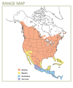 Barn Swallow Forestry Fact Sheet Fri Research