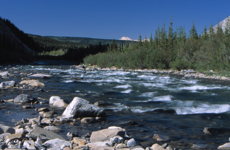 Watershed Assessment Procedure to address cumulative effects in the eastern slopes natural region