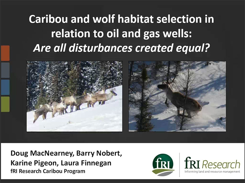 Caribou and Wolf Habitat Selection in Relation to Oil and Gas Wells: are all disturbances created equal?
