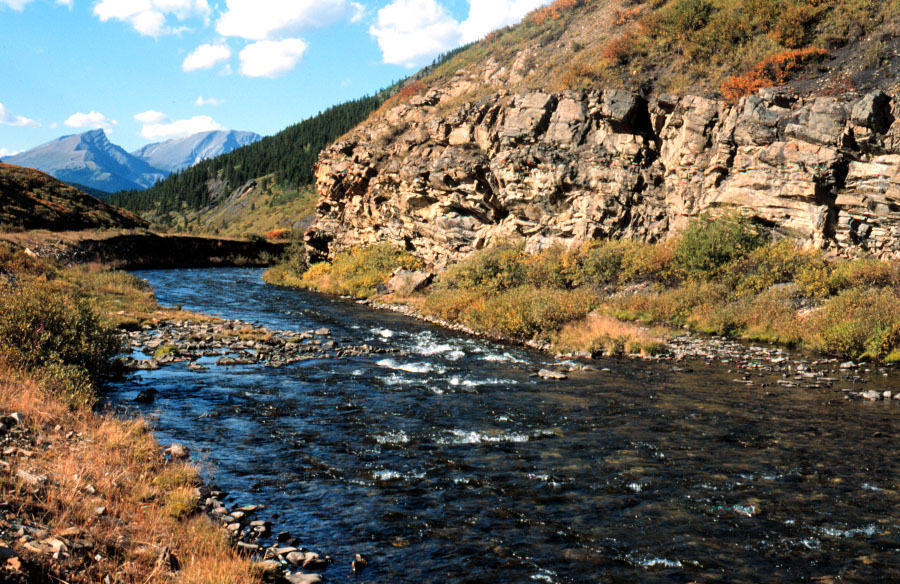 Disturbance in Riparian Zones