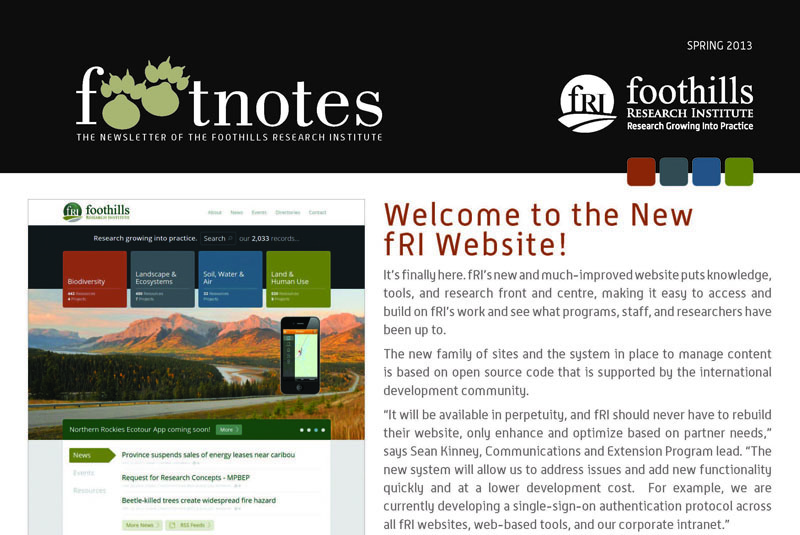 Footnotes: Spring 2013 Newsletter