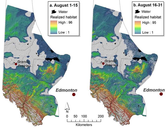 Dynamic Regeneration of Grizzly Bear Food Model