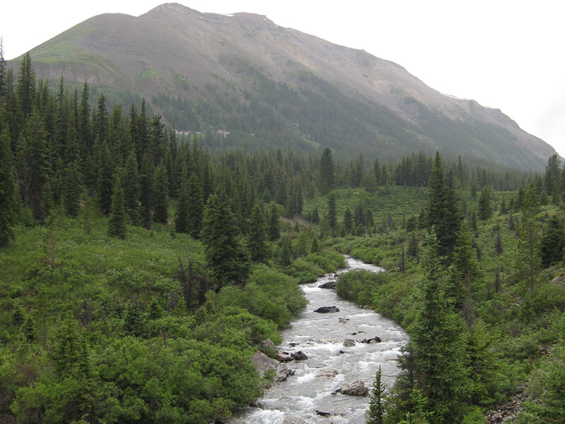 The groundwater/ surface water interactions in the headwater streams and the relative importance in controlling the hydrological response to disturbance