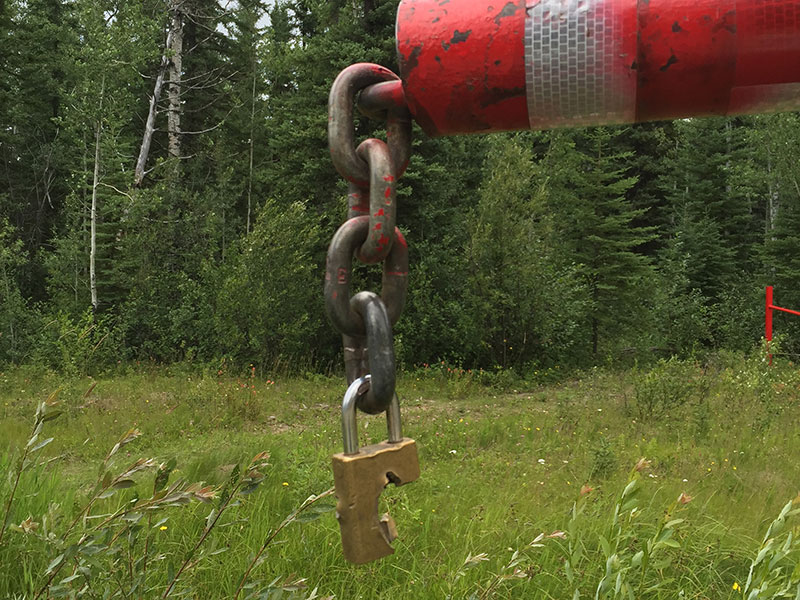 Determining How Bears Use Gated Roads