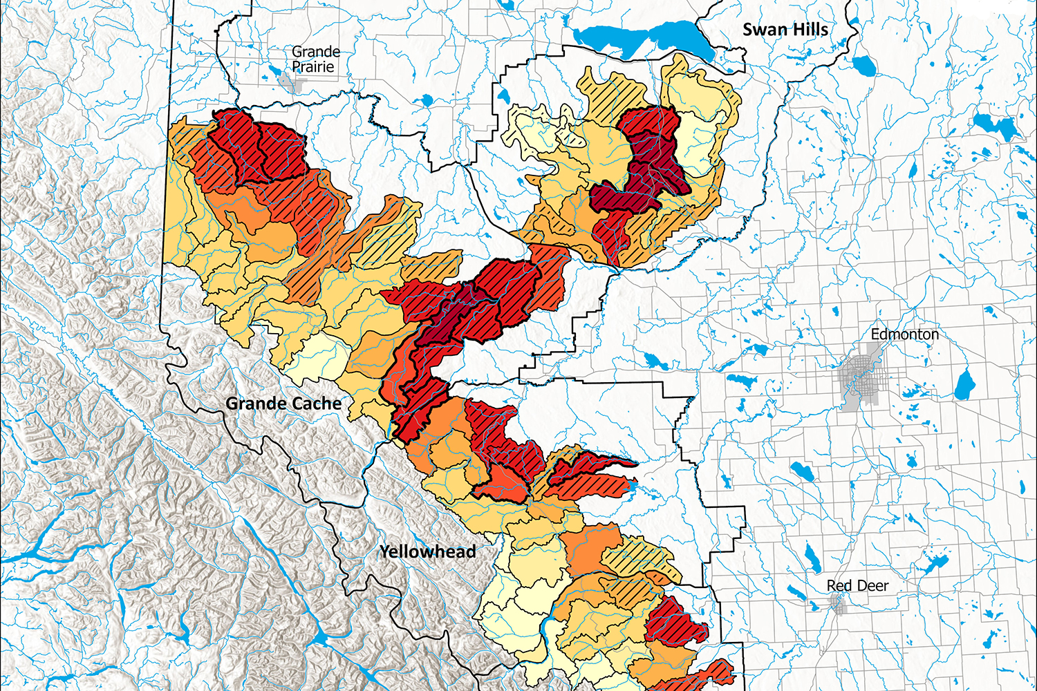 See How Road Densities Are Changing in Grizzly Bear Habitat