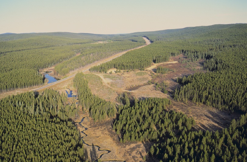Characterizations of anthropogenic disturbance patterns in the mixedwood boreal forest of Alberta, Canada. ABSTRACT