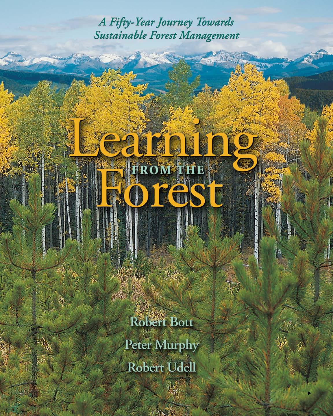 Learning From the Forest eBook
