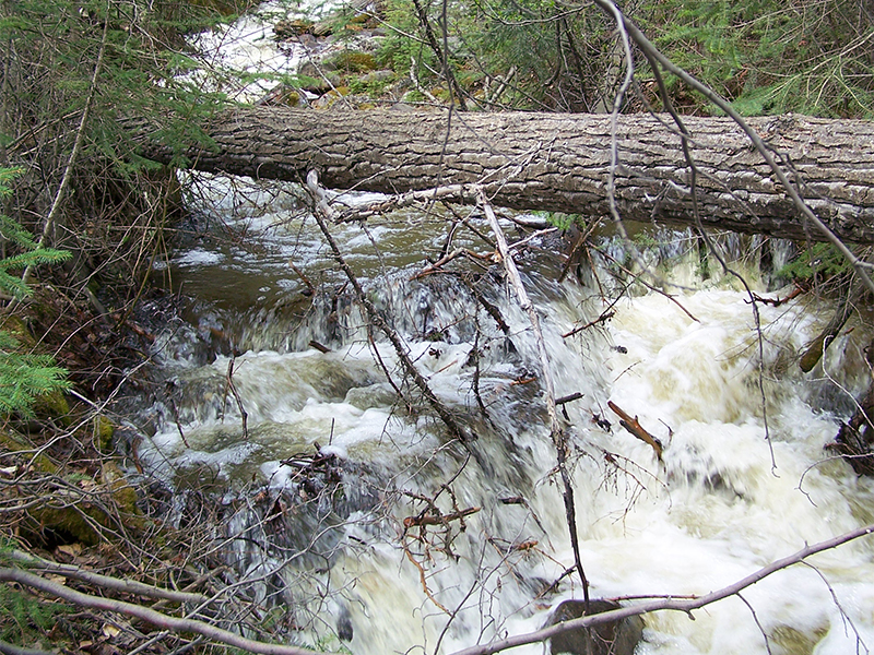 Impacts of climate and catastrophic forest changes on streamflow and water balance in a mountainous headwater stream in Southern Alberta