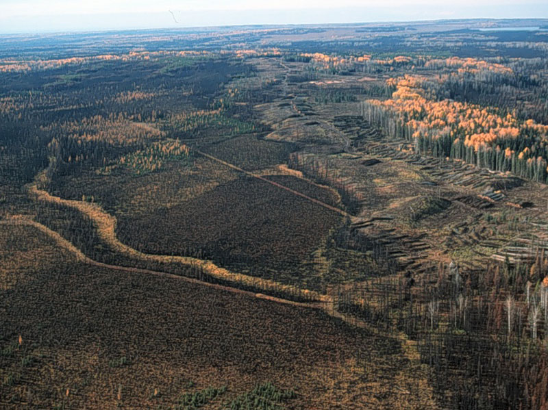 Predicting post-fire canopy mortality in the boreal forest from dNBR derived from time series of Landsat data