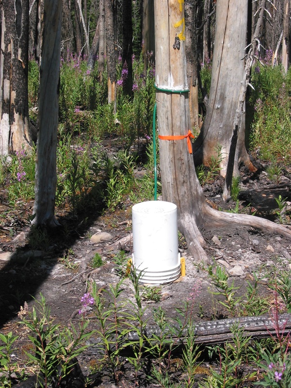 Towards Integrated Source Water Management in Alberta