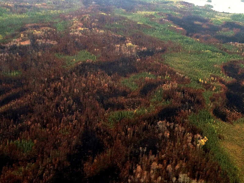 Grid-Based Natural Wildfire Patterns In Northeastern Saskatchewan