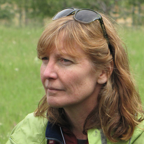 Interview with Lori Daniels: 'Burning Issues in Alberta's Forests' field tour