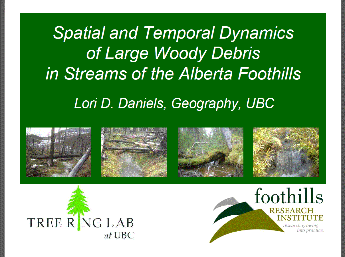 Spatial and temporal dynamics of large woody debris in streams of the Alberta Foothills