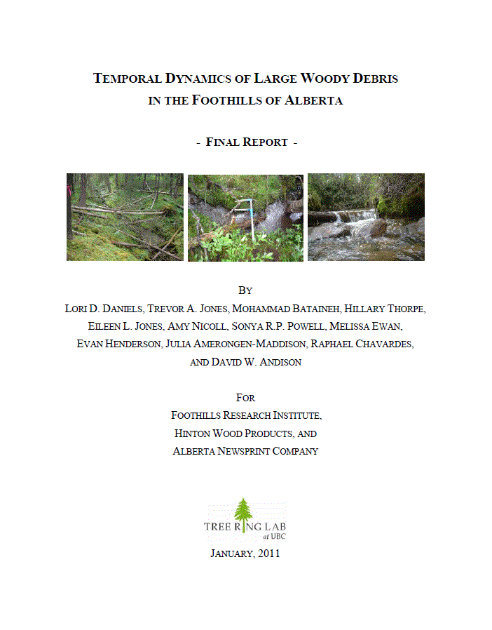 Temporal dynamics of large woody debris in the foothills of Alberta