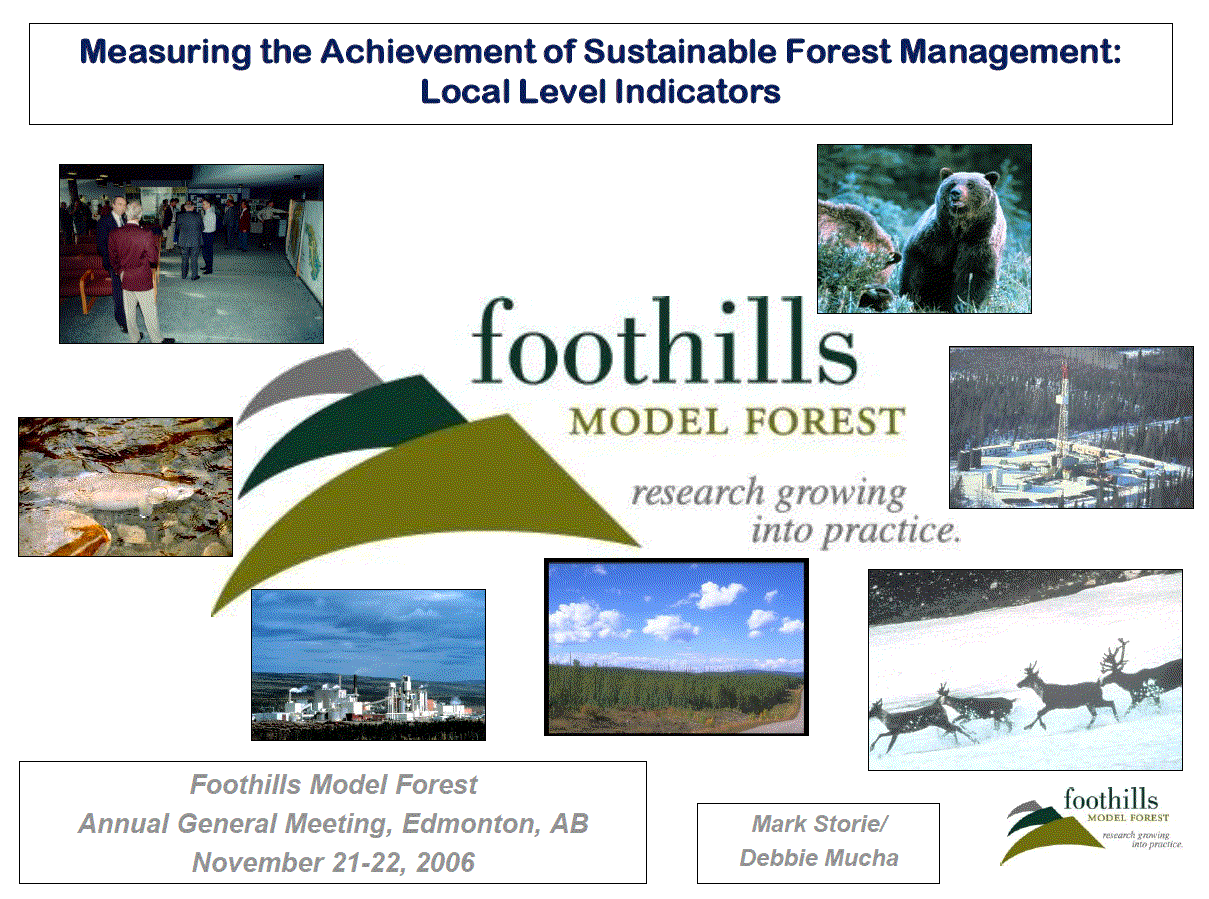 Measuring the achievement of sustainable forest management: local level indicators