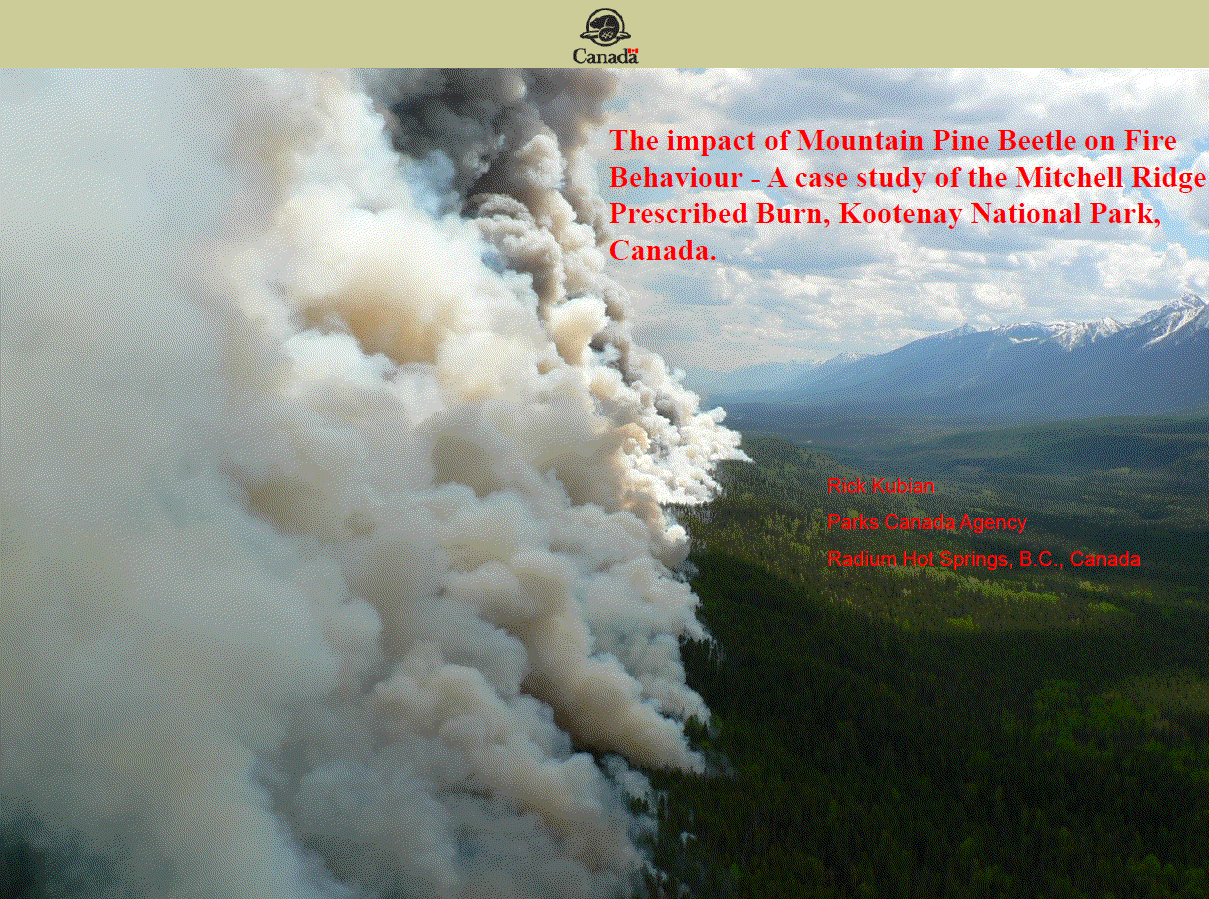 The impact of mountain pine beetle on fire behaviour - a case study of the Mitchell Ridge prescribed burn, Kootenay National Park, Canada