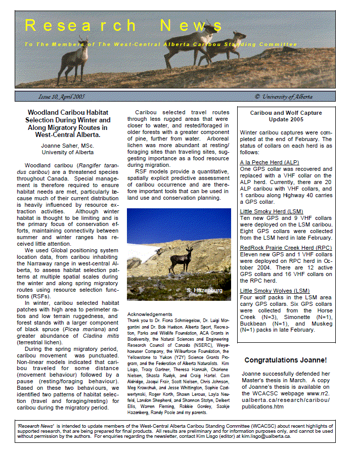 Research News: Issue 10, April 2005
