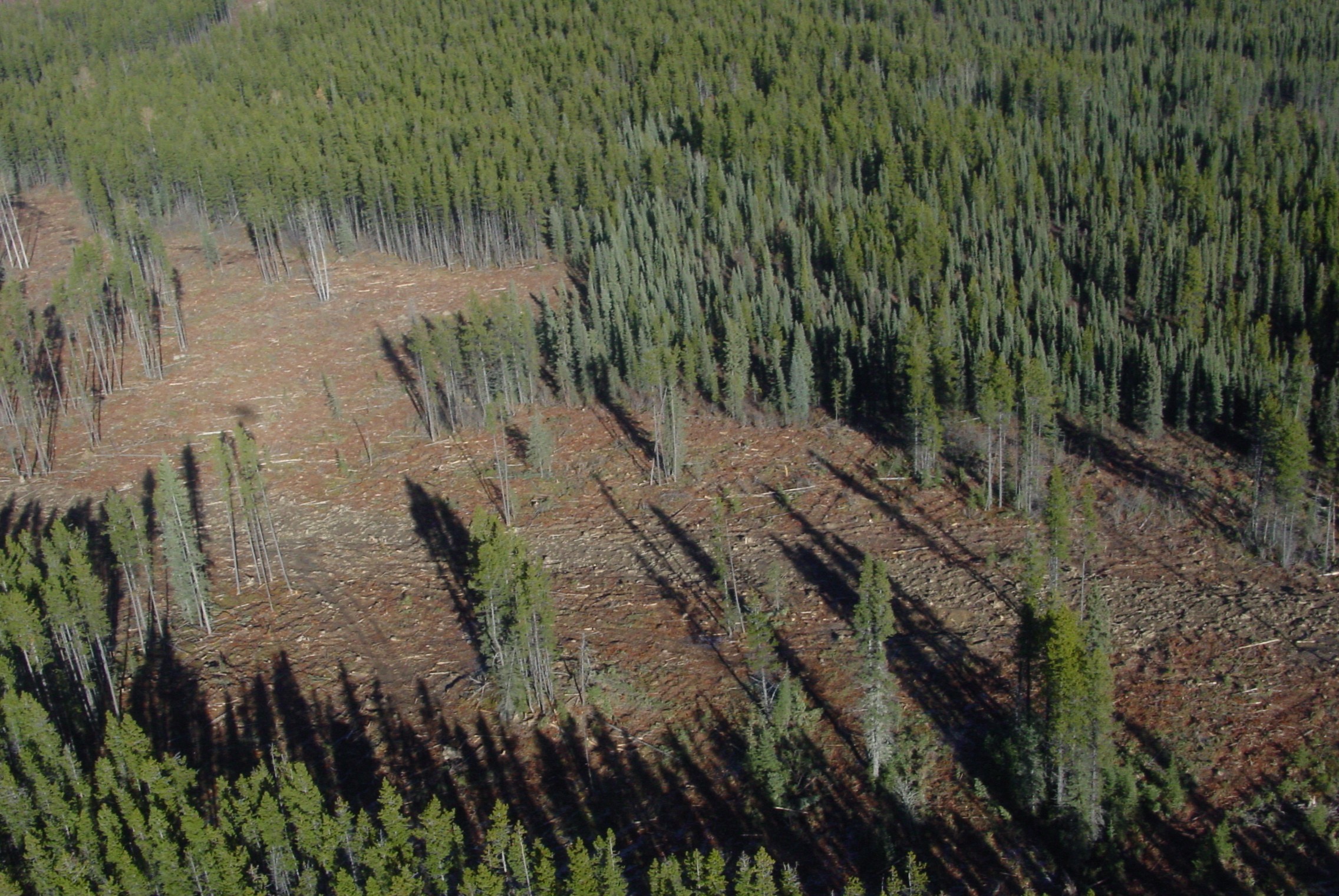 Wildfire Patterns in Western Boreal Canada: Healthy Landscapes Research Series Report No. 8