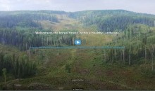 LessonsFromNature.ca Explores New Approaches to Forest Management