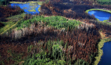 HLP_2020_09_Aerial-fire-photo-fire-lake-grid.jpg?itok=AdZGqaLK