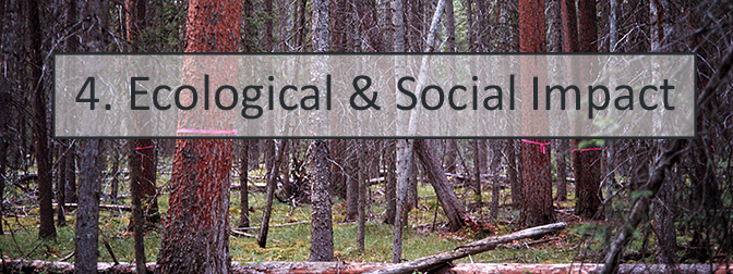 4. Ecological and Social Impacts