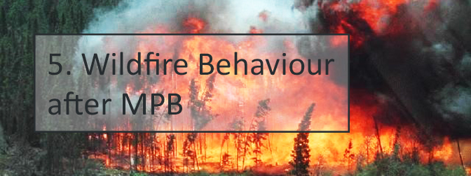 5. Wildfire behaviour after MPB