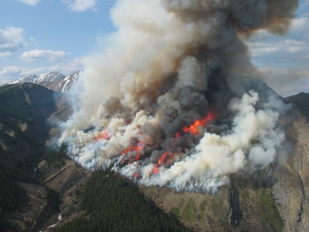 Natural Wildfire Patterns