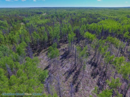 UAV shot of the group. Photo credit: Brent Joss, Natural Resources Canada: Canadian Wood Fibre Centre. UAV shot of the group. Photo credit: Brent Joss, Natural Resources Canada: Canadian Wood Fibre Centre.