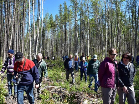 It was a perfect day to visit the six research sites. Some things being tested are partial harvest of affected stands, reforestation strategies, and affect on wildfire fuel. It was a perfect day to visit the six research sites. Some things being tested are partial harvest of affected stands, reforestation strategies, and affect on wildfire fuel.