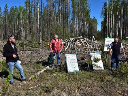 First stop on the tour was an overview of MPB-affected stands and how that's affecting the forestry industry. From left: Dean Marshal, Derek Sidders, and Tim Keddy. First stop on the tour was an overview of MPB-affected stands and how that's affecting the forestry industry. From left: Dean Marshal, Derek Sidders, and Tim Keddy.