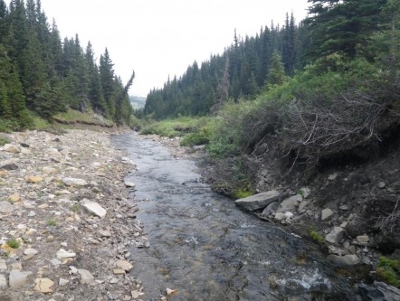 A healthy stream at risk.