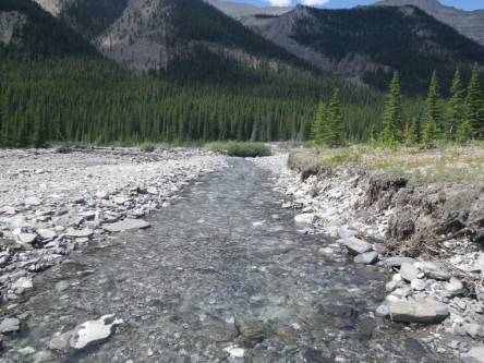 A non-functioning stream.