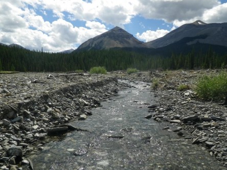 A non-functioning stream.