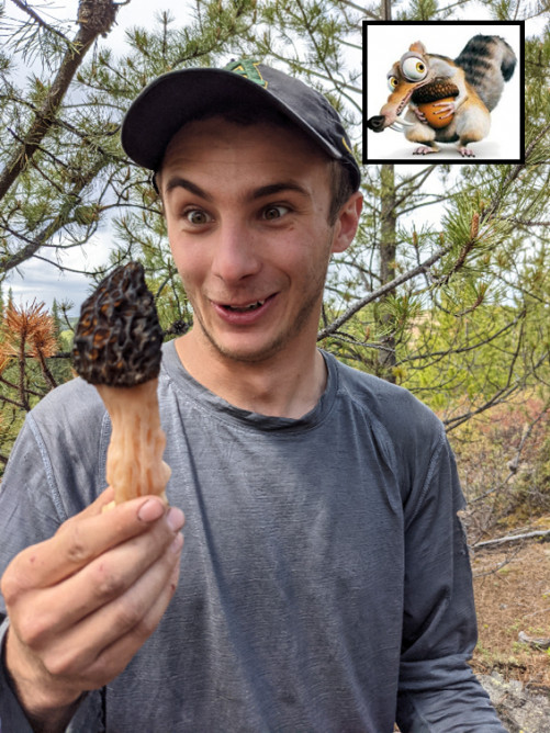 Jesse holding a mushroom, a cartoon quirrel image in the corner for comparison