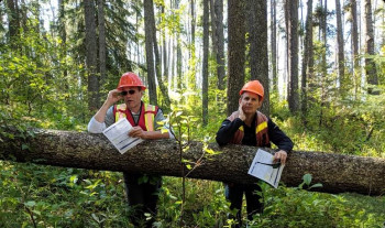 2 men in hard hats holding papers leaning against a large fallen tree