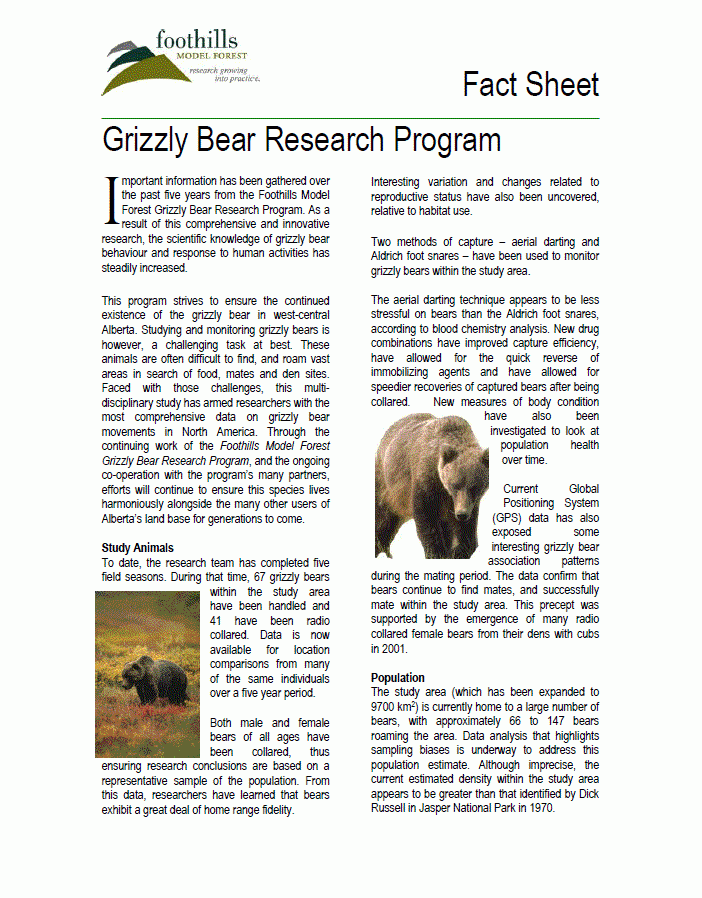 white bear research paper