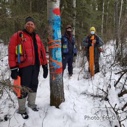 People measuring trees in a snowy forest